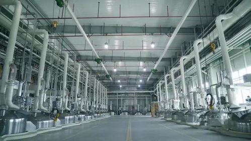 中控技术赋能三棵树四川生态工业园 汇聚MES力量的智能工厂实践